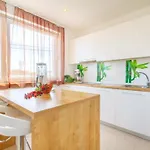 Vila Antonia